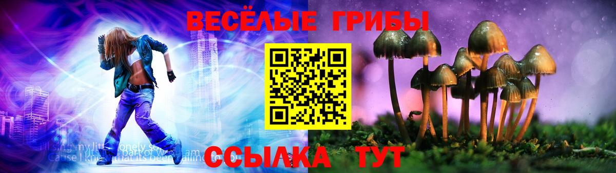 Галлюциногенные грибы GOLDEN TEACHER  Вход с VPN  Прохладный 